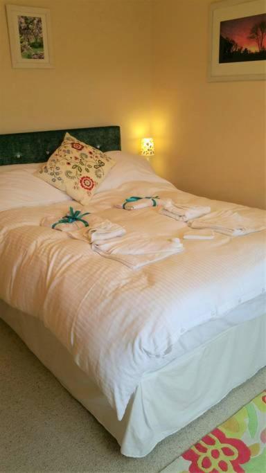 Horsna Parc Retreat Bed and Breakfast Saint Tudy Exteriör bild