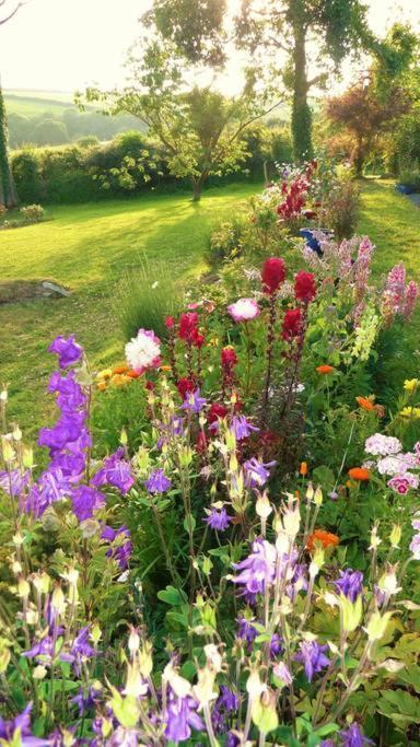 Horsna Parc Retreat Bed and Breakfast Saint Tudy Exteriör bild