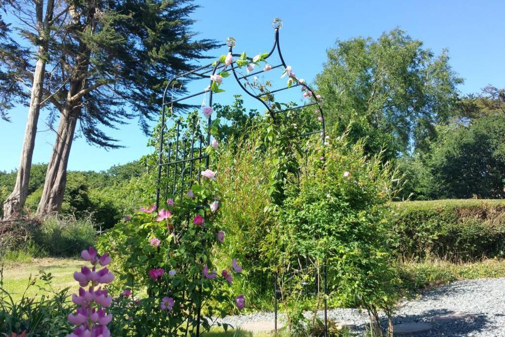 Horsna Parc Retreat Bed and Breakfast Saint Tudy Exteriör bild